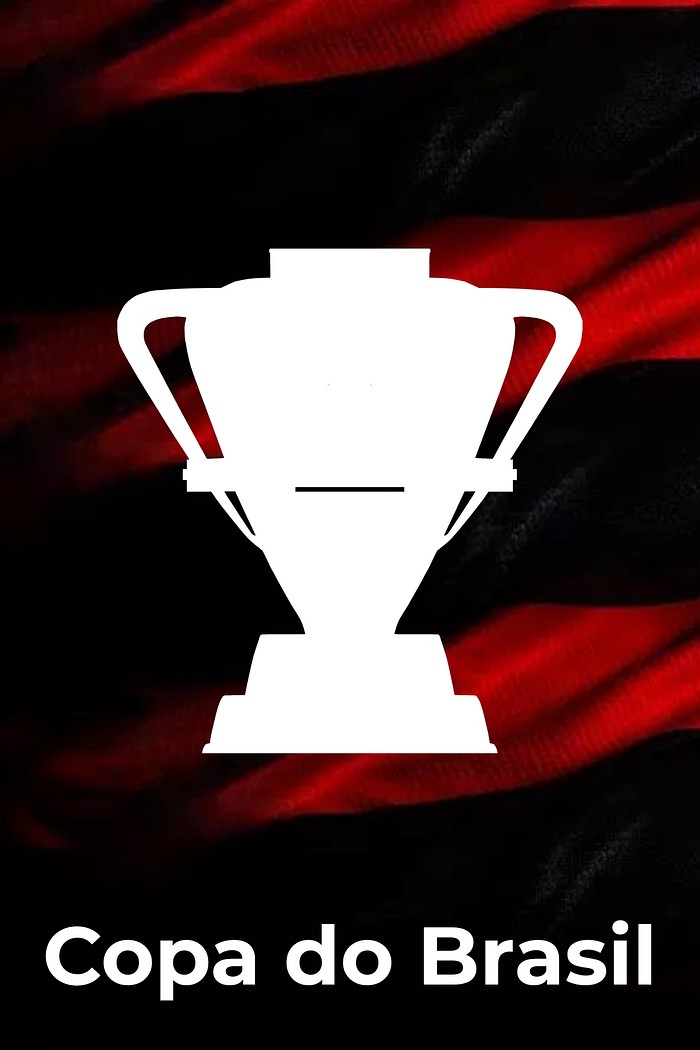 C0p@ do Br@s1l - FLA