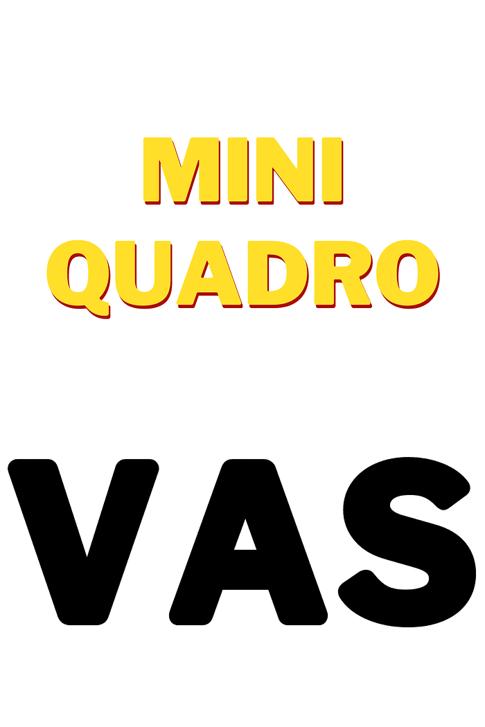 Mini quadro do VASCO