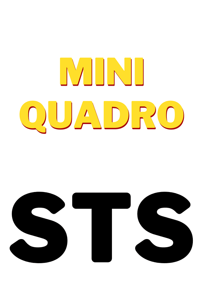 Mini quadro do SANTOS