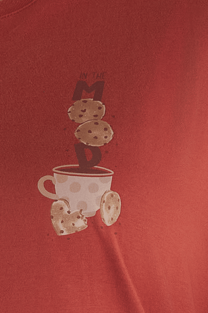 PIJAMA MANGA LONGA EM MEIA MALHA COM CALCA EM MALHA ROTATIVA FEMININO 