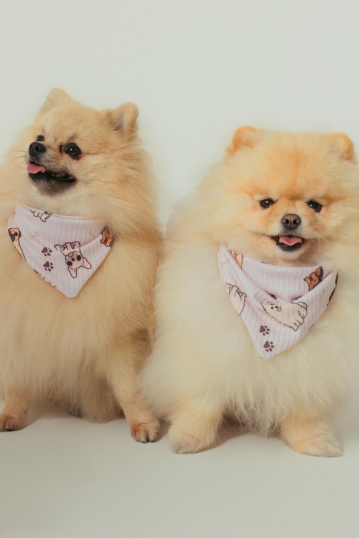 BANDANA DOG ESTAMPADA CANELADA