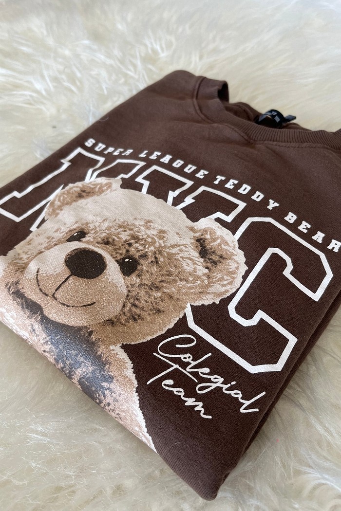 MOLETOM NYC [TEDDY] - MARROM