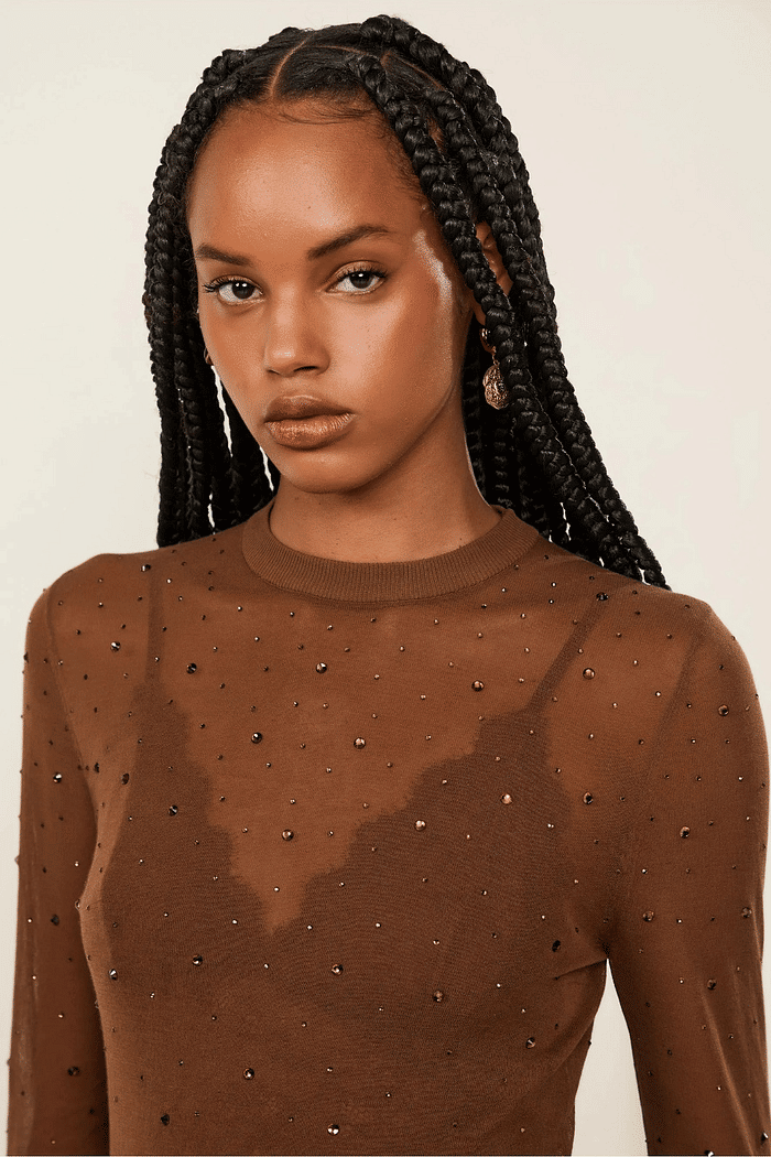 BLUSA DE TRICOT TRANSPARENTE COM HOTFIX ANIMALE