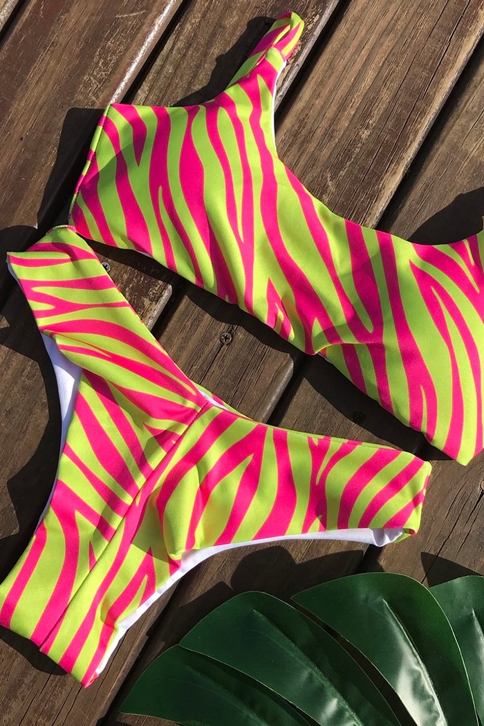 Biquíni Top e Asa Delta Zebra Pink