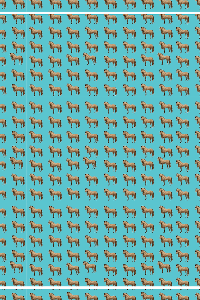 Canga Turquesa Country