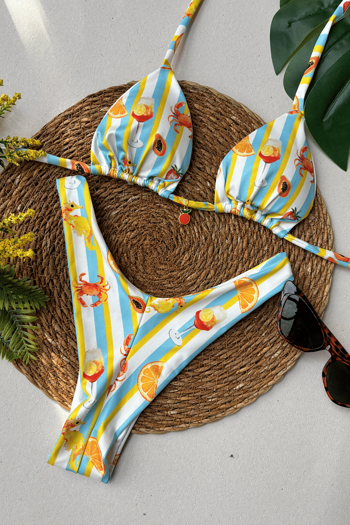 Biquíni Gaivota Cortininha e Asa delta