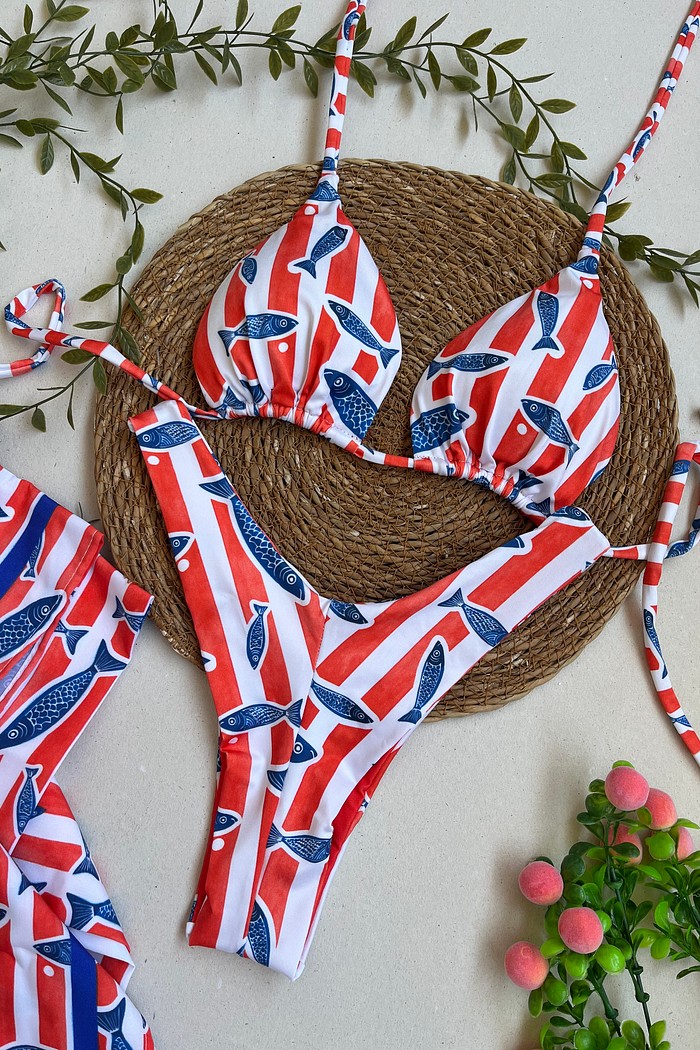 Biquíni Sardinha Cortininha e Asa delta