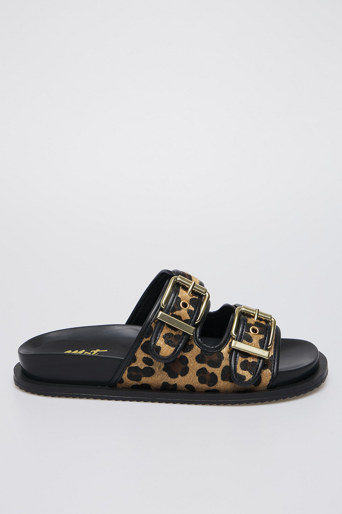 Birken Nágela Onça