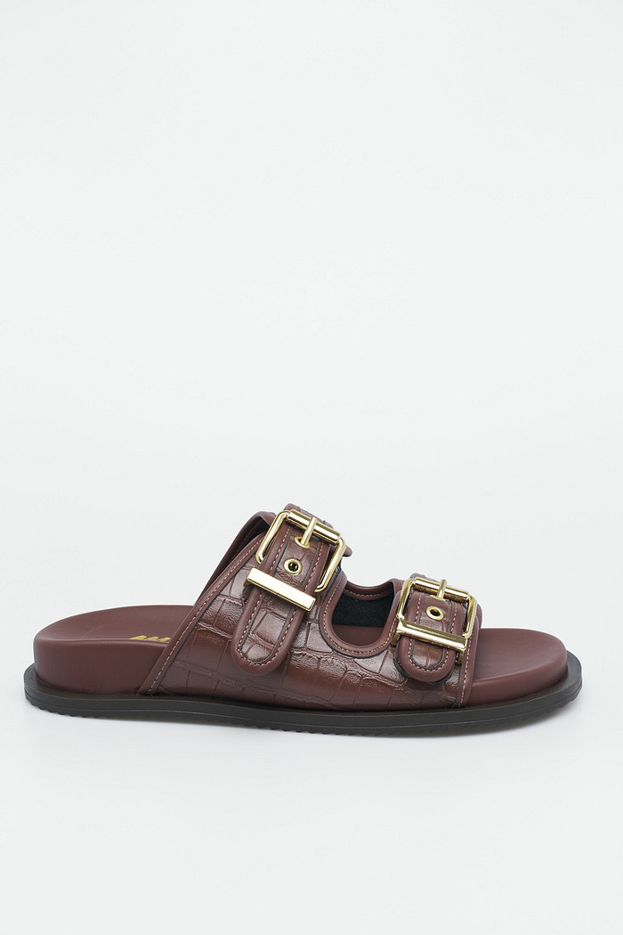 Birken Nágela Terra