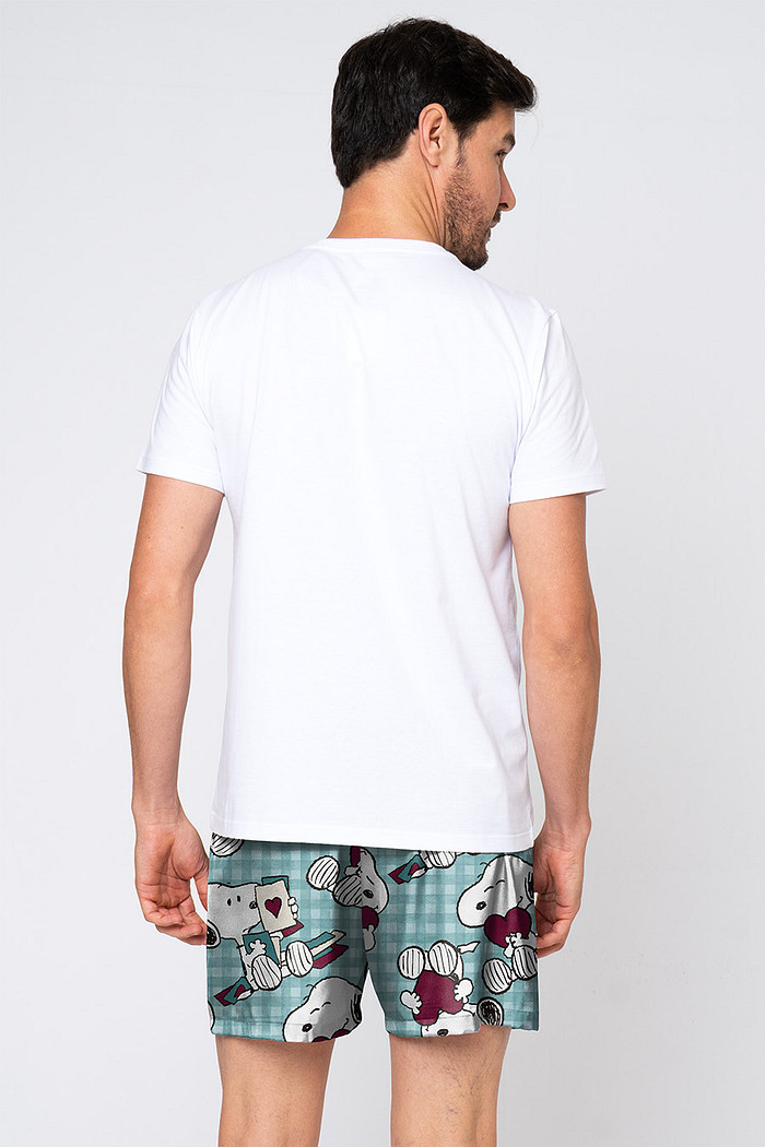 SAMBA CANÇÃO TOQUE DE SEDA - SNOOPY LOVERS