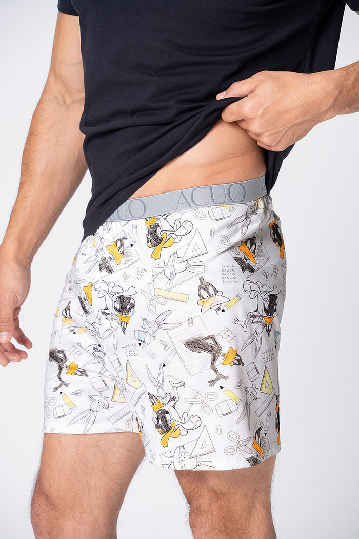 SAMBA CANÇÃO DE ALGODÃO - LOONEY GERAÇÃO RAIZ