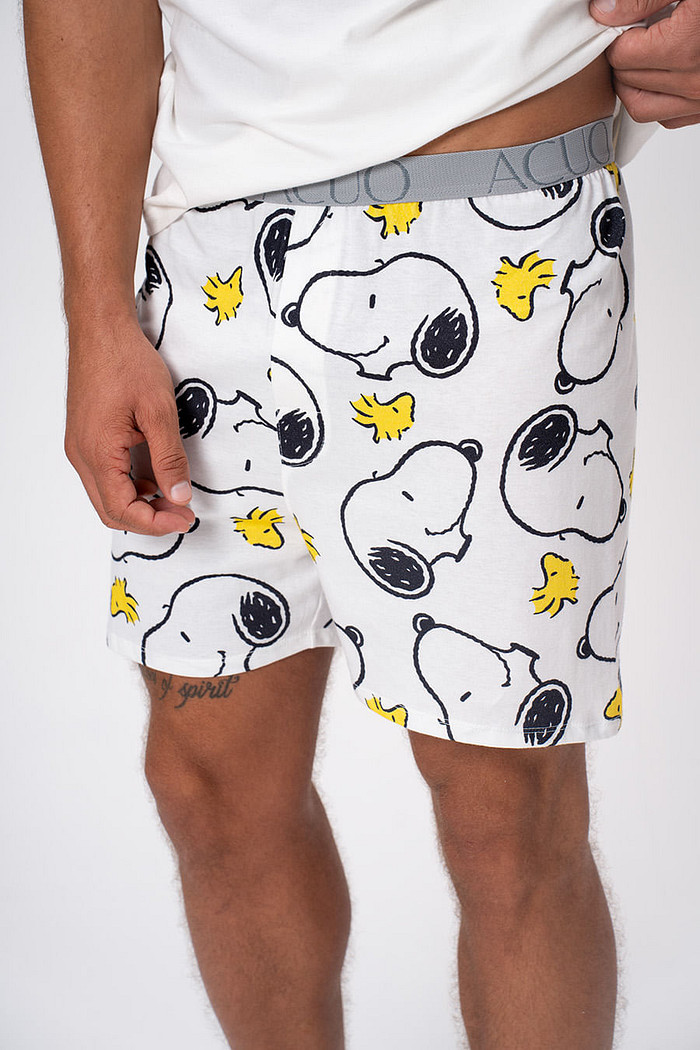 SAMBA CANÇÃO DE ALGODÃO - SNOOPY'S DAY