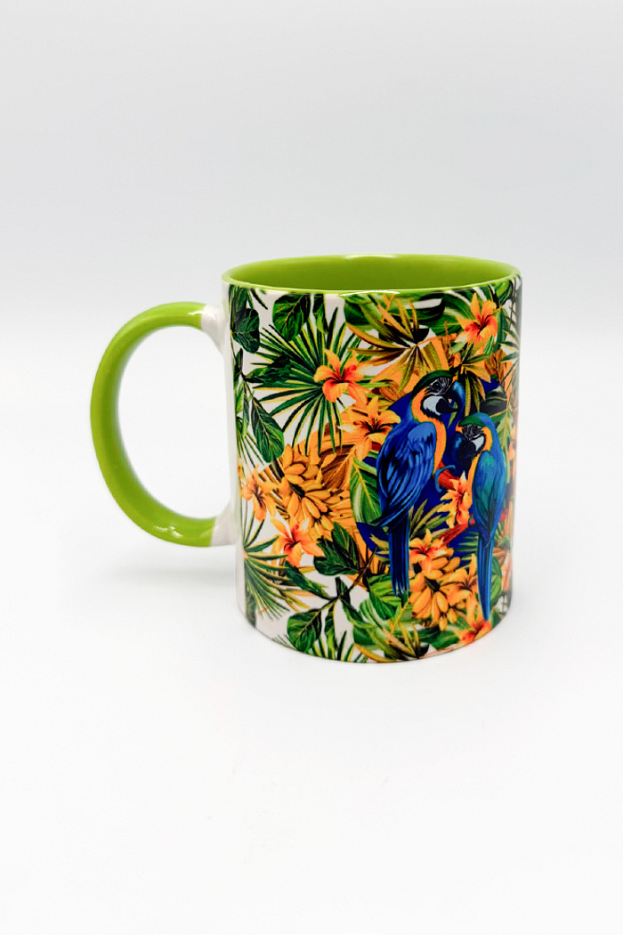 Caneca Bandeira Brasil Canindé Folha Verde