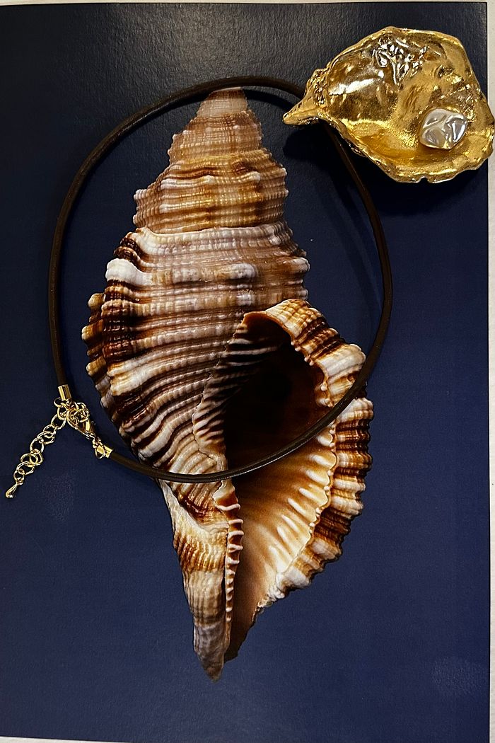 Colar Carol Ostra Dourada