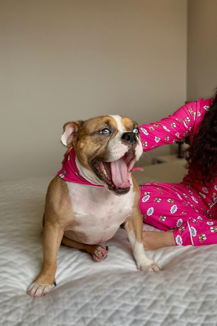 Bandana Dog do Romeu OQFB