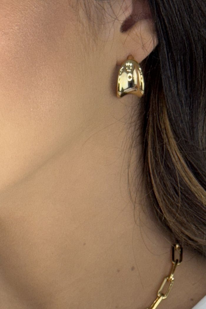 Brinco Paula Dourado