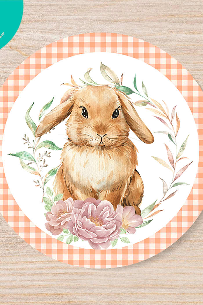 KIT COM 4 CAPA DE SOUSPLAT COLEÇÃO PÁSCOA COELHO STUART