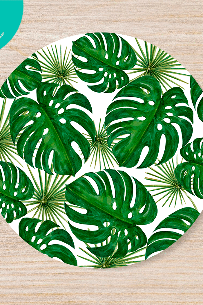 KIT 4 CAPA DE SOUSPLAT COSTELA DE ADÃO