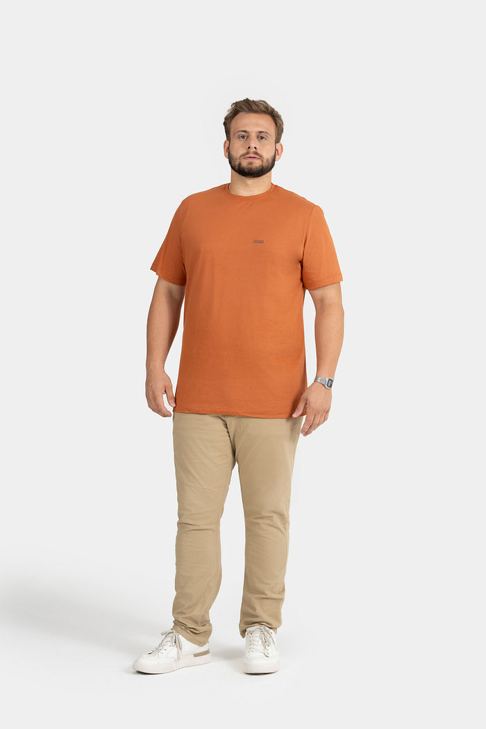 T-SHIRT PLUS SIZE MEIA MALHA C/REF., TERMO E ETIQ CLIPS