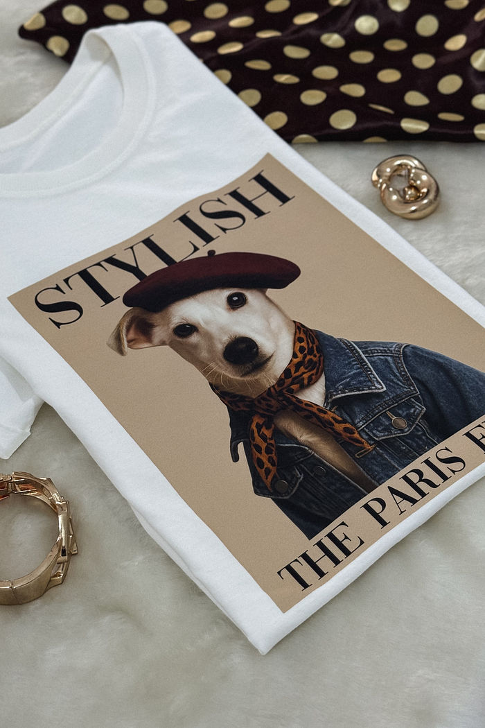 Tshirt Premium - Stylish DTF - Off White