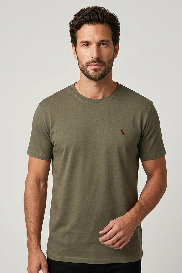 amiseta Reserva Brasa Verde Pica Pau Bordado Vermelho Frente