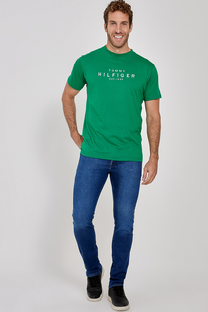 Camiseta Tommy Hilfiger Embroidered Logo Script Verde Look
