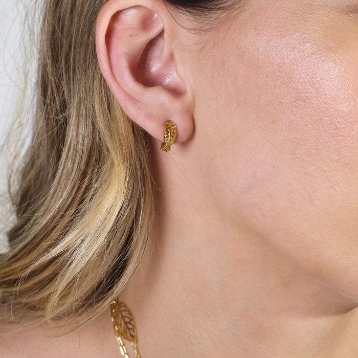 ARGOLA FOLHA LISA PQ