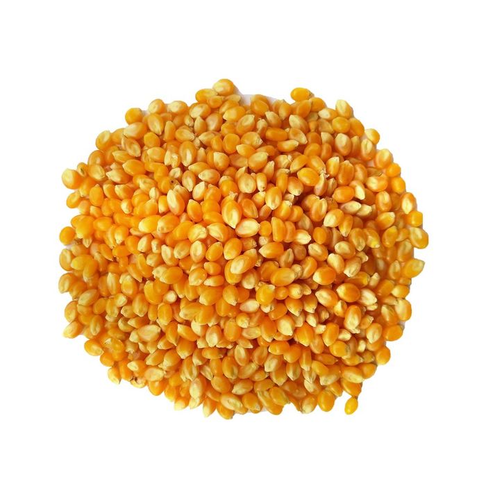 Milho Pipoca Orgânico GRANEL - 100g