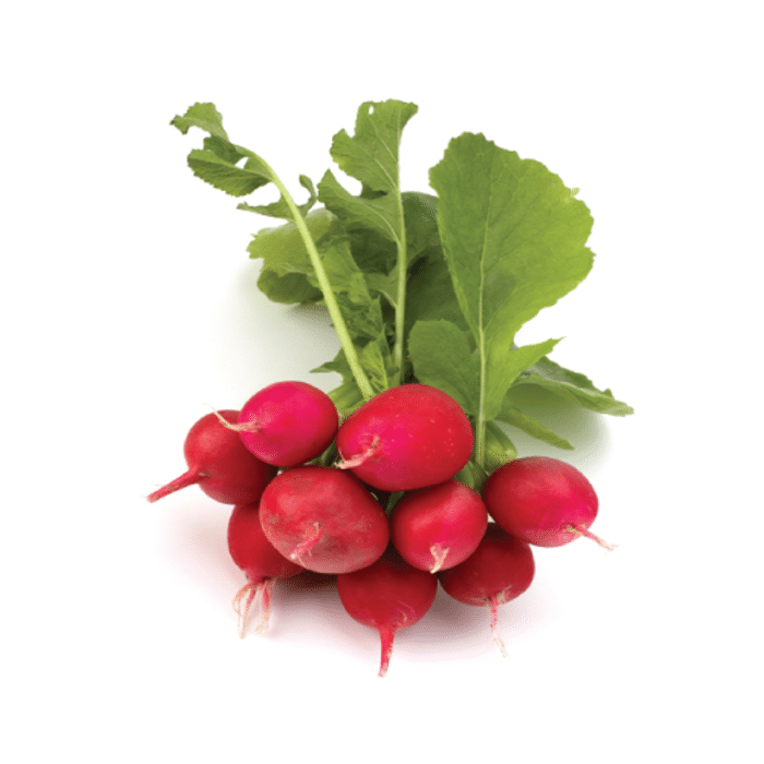 Rabanete Orgânico (Maço)