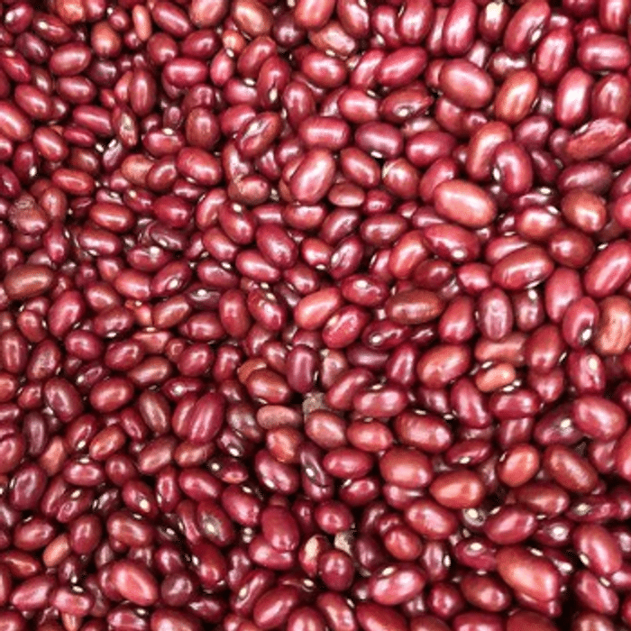 Feijão Vermelho Orgânico - 500G