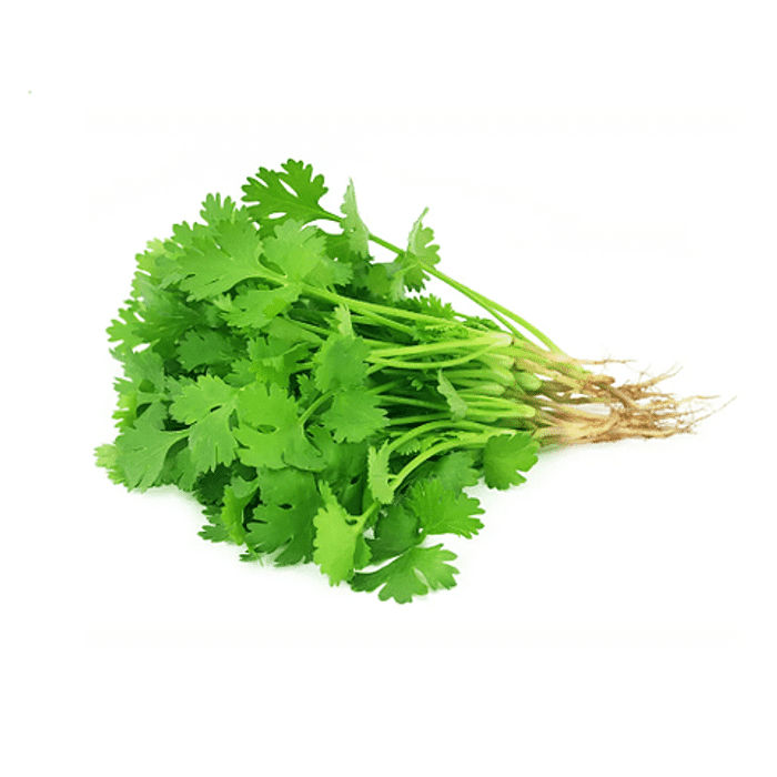 Coentro Orgânico - 90G