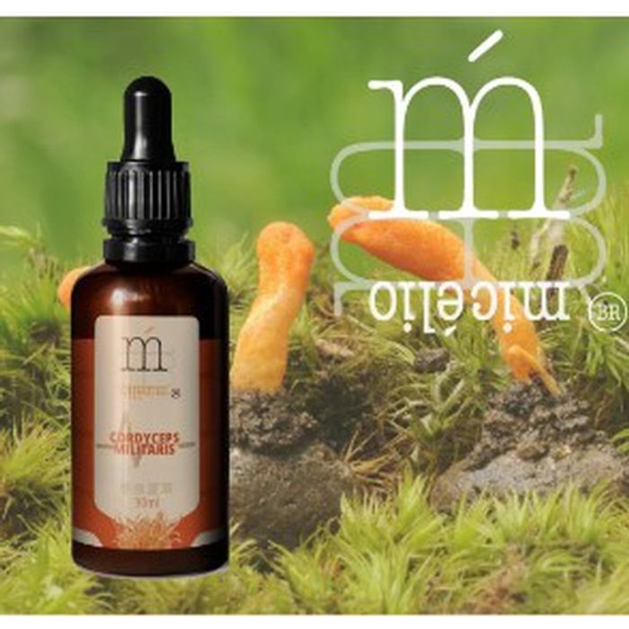 Tintura de Cogumelo Cordyceps Militaris - 30ml