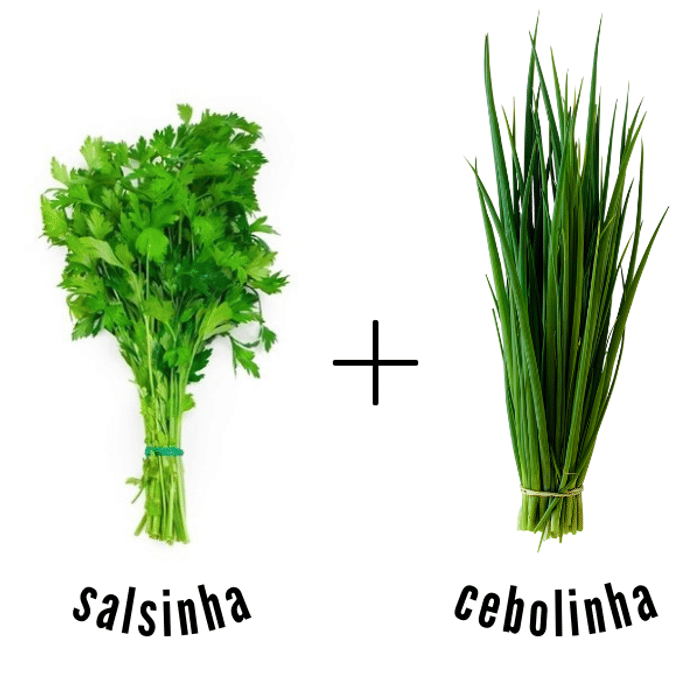Cheiro Verde (salsinha + cebolinha)