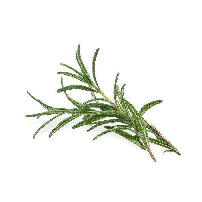 Alecrim Orgânico - Maço