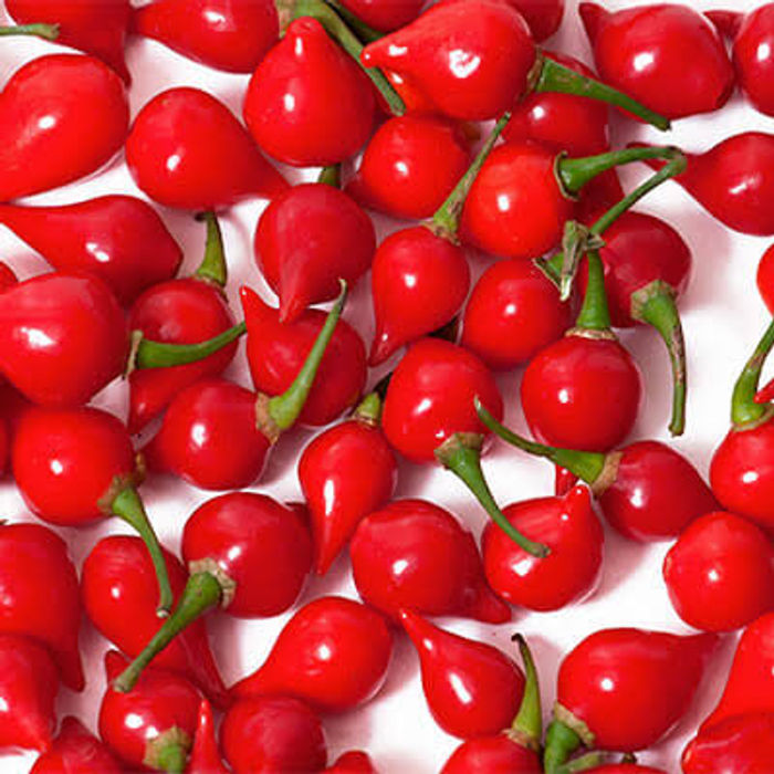 Pimenta Biquinho Orgânica - 100g