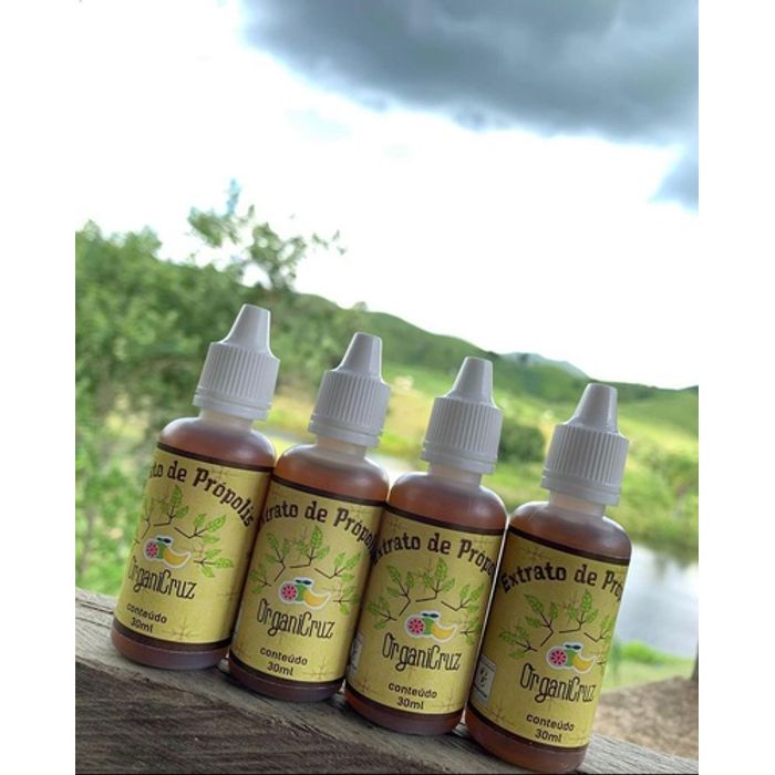 Própolis Agroflorestal - 30Ml