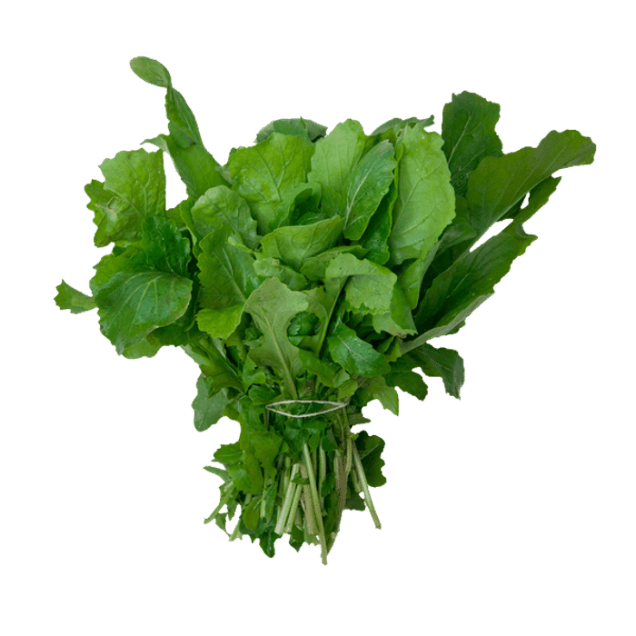 Rúcula Orgânica