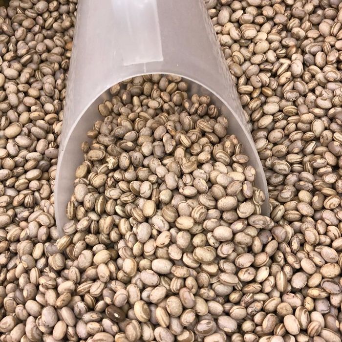 Feijão Carioca Orgânico GRANEL - 100g