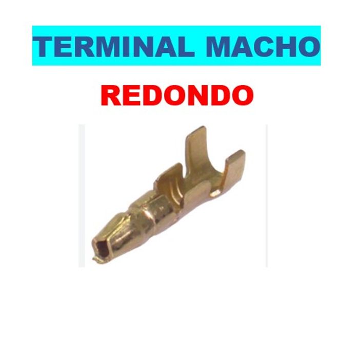 ISO1900029 - TERMINAL MACHO REDONDO COM 50 UNIDADES - VALOR UNITARIO - PC