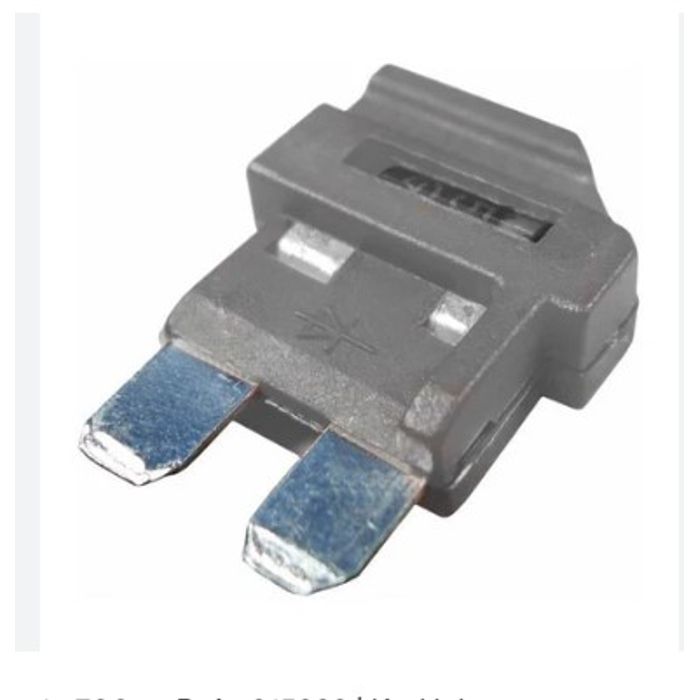 AMS161-01A - FUSIVEL DIODO 1A 700V -  (EMB. COM 01 PC - VALOR UNITARIO) - PC