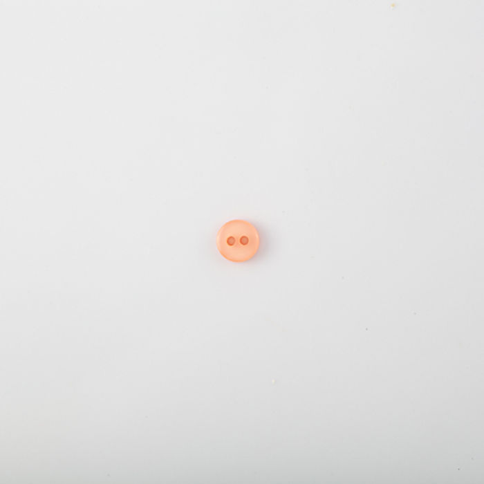 101.451 - BOTÃO COM 24 UN.