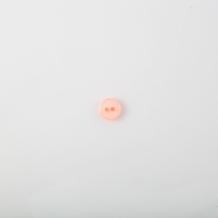 101.498 - BOTÃO COM 24 UN.