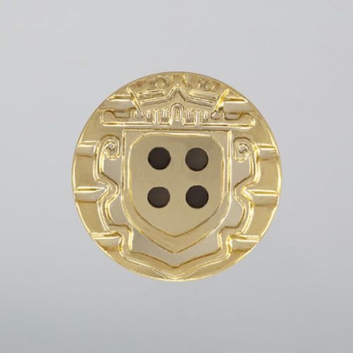 100.933 - BOTÃO COM 6 UN.