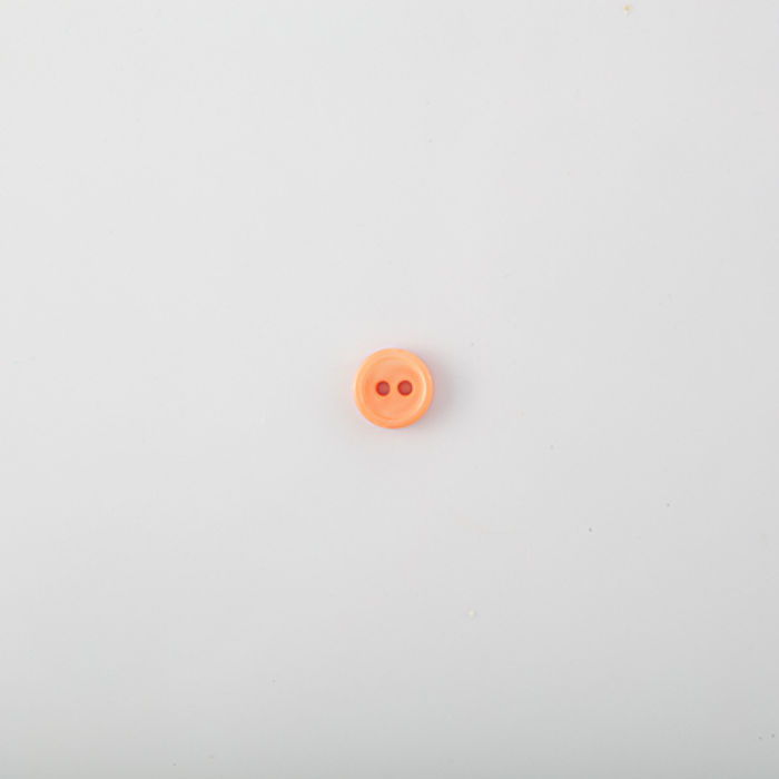 101.595 - BOTÃO COM 24 UN.