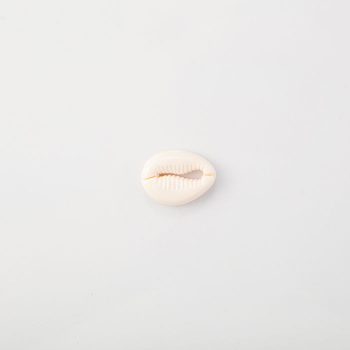 102.523 - BÚZIOS COM 10 UN.