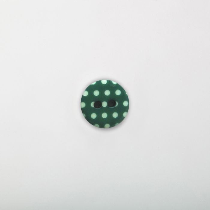 102.029 - BOTÃO COM 12 UN.