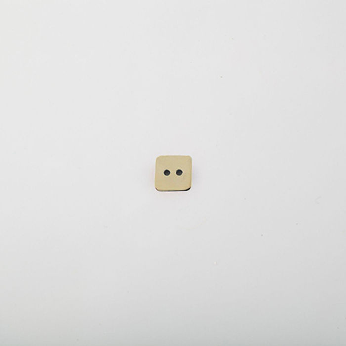 100.900 - BOTÃO COM 12 UN.