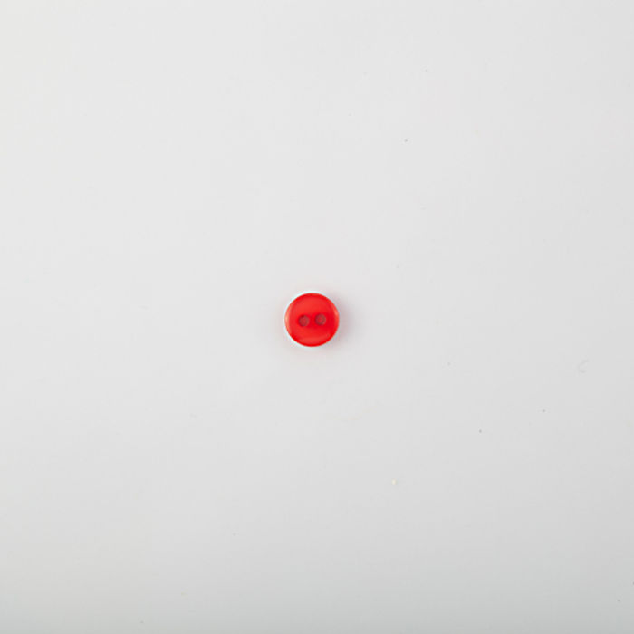 101.454 - BOTÃO COM 24 UN.