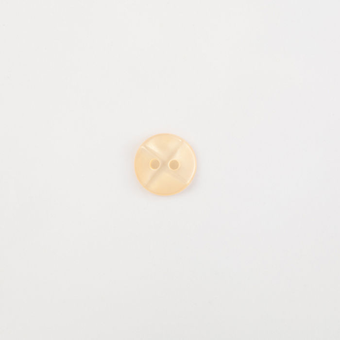 101.668 - BOTÃO COM 12 UN.