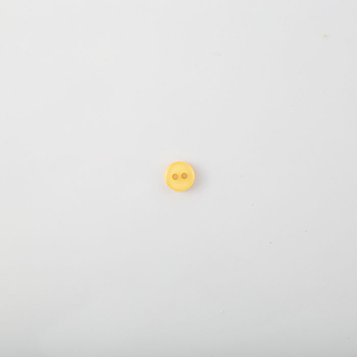 101.449 - BOTÃO COM 24 UN.